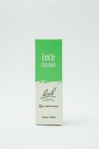 FLORAL DE BACH FOCO NOS ESTUDOS - 30 ml